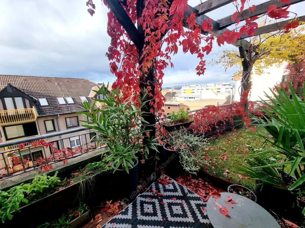 Kiadó albérlet 450000 Ft/hó áron: Budapest, IX. kerület  Balázs Béla utca. Mérete: 66 nm, 3 szobás | Alberlet.hu - 6610823