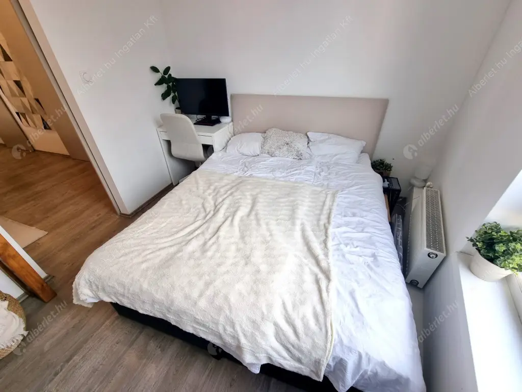 Kiadó albérlet 450000 Ft/hó áron: Budapest, IX. kerület  Balázs Béla utca. Mérete: 66 nm, 3 szobás | Alberlet.hu - 6619018