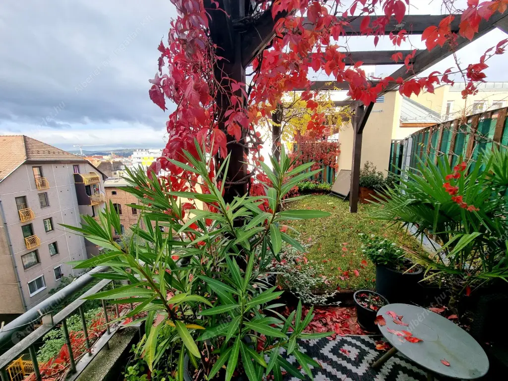 Kiadó albérlet 450000 Ft/hó áron: Budapest, IX. kerület  Balázs Béla utca. Mérete: 66 nm, 3 szobás | Alberlet.hu - 6619024