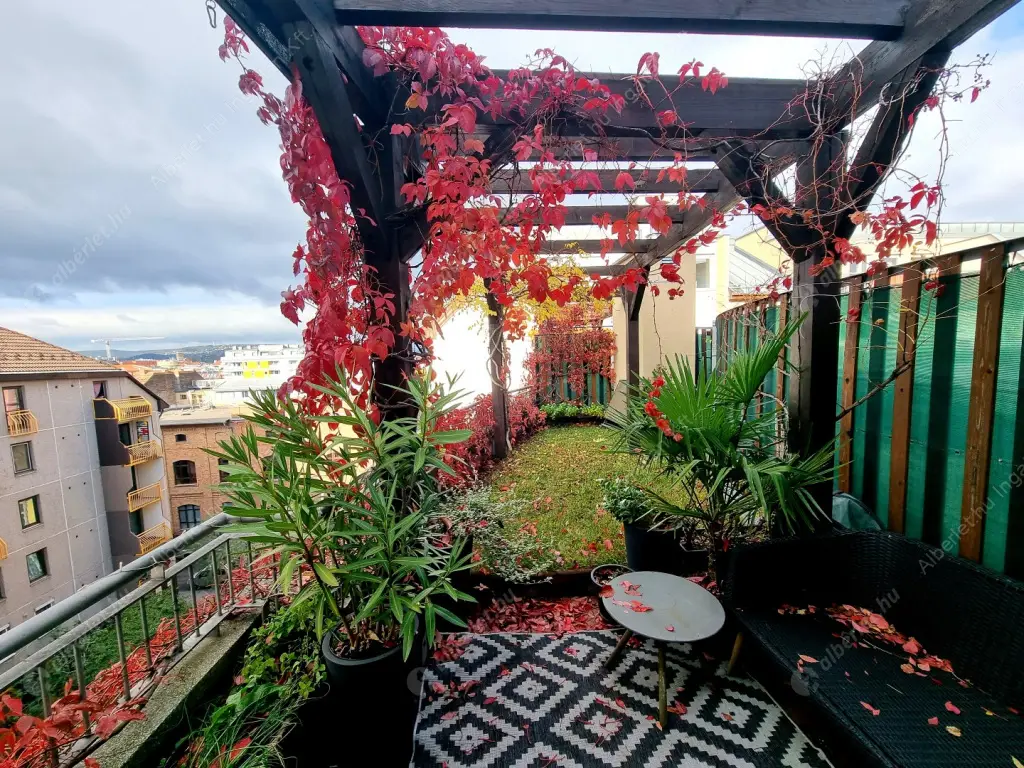 Kiadó albérlet 450000 Ft/hó áron: Budapest, IX. kerület  Balázs Béla utca. Mérete: 66 nm, 3 szobás | Alberlet.hu - 6619025