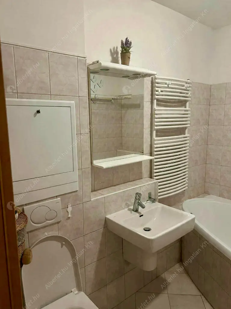 Kiadó albérlet 250000 Ft/hó áron: Budapest, IX. kerület  Dandár utca. Mérete: 33 nm, 1 szobás | Alberlet.hu - 6636436