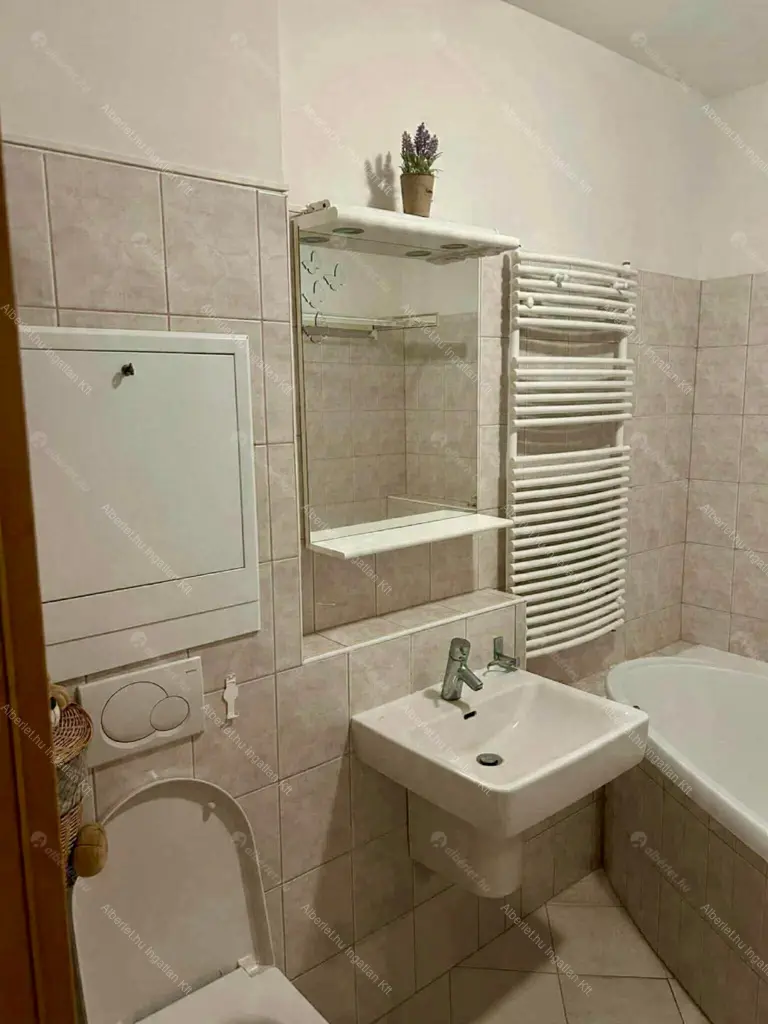 Kiadó albérlet 230000 Ft/hó áron: Budapest, IX. kerület  Dandár utca. Mérete: 33 nm, 1 szobás | Alberlet.hu - 6647040