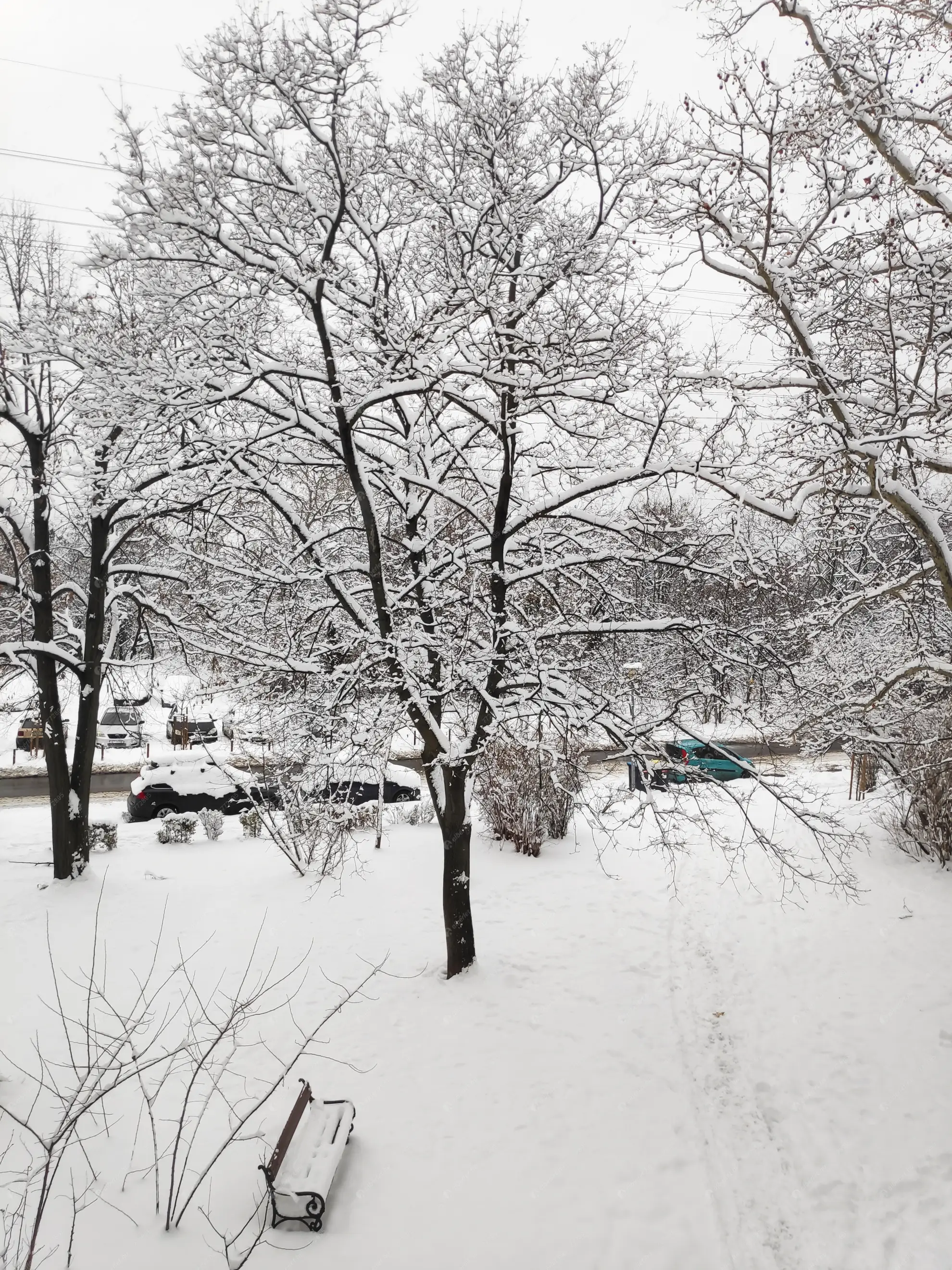 Kiadó albérlet 200000 Ft/hó áron: Budapest, IX. kerület  Epreserdő utca. Mérete: 39 nm, 1 szobás | Alberlet.hu - 6621211