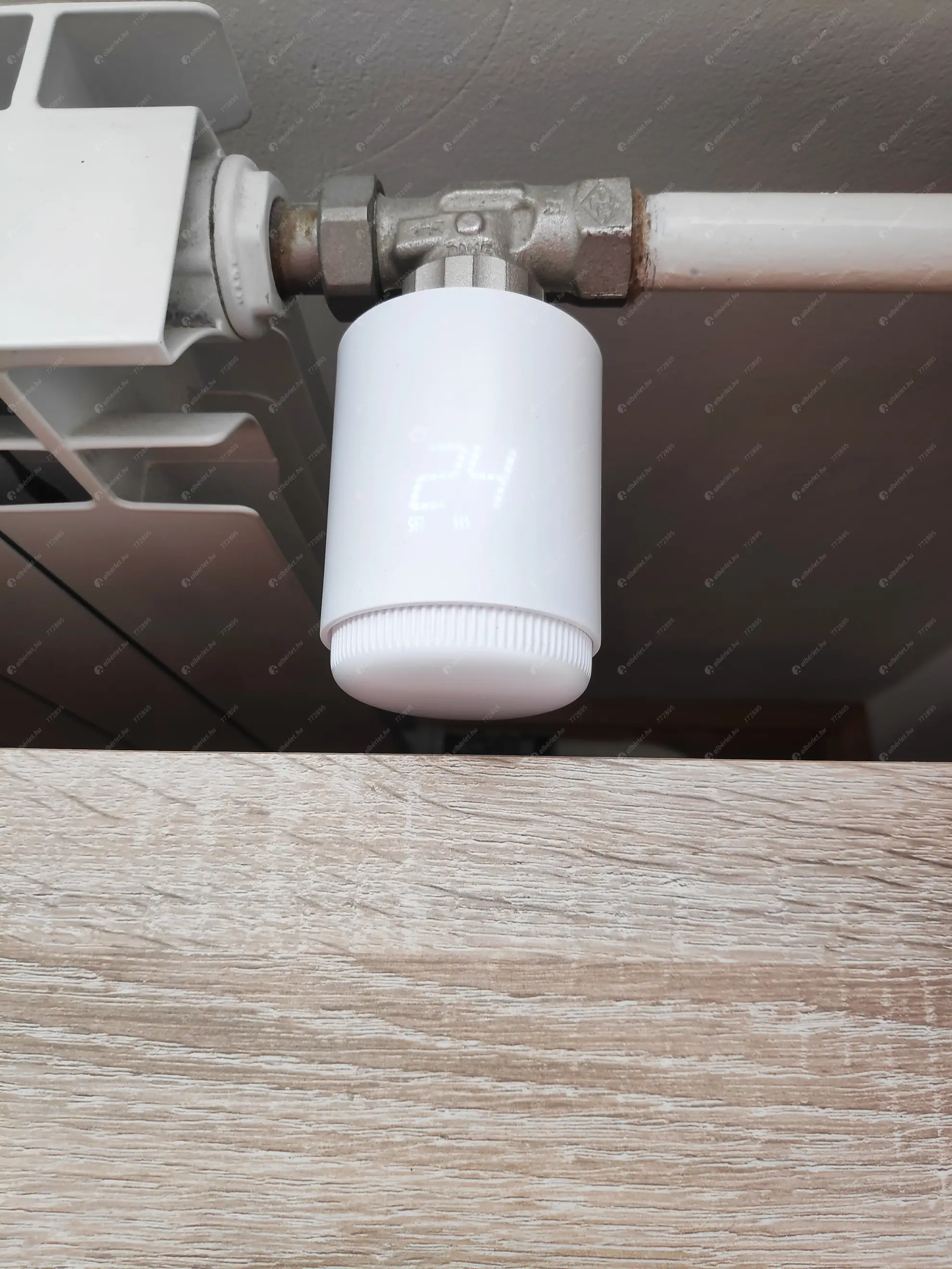 Kiadó albérlet 200000 Ft/hó áron: Budapest, IX. kerület  Epreserdő utca. Mérete: 39 nm, 1 szobás | Alberlet.hu - 6621216