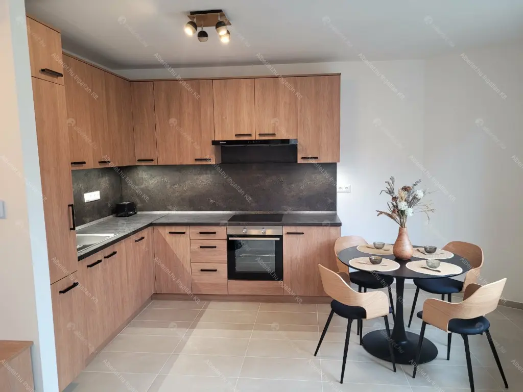 Kiadó albérlet 450000 Ft/hó áron: Budapest, IX. kerület  Erkel utca. Mérete: 53 nm, 2 szobás | Alberlet.hu - 6683913