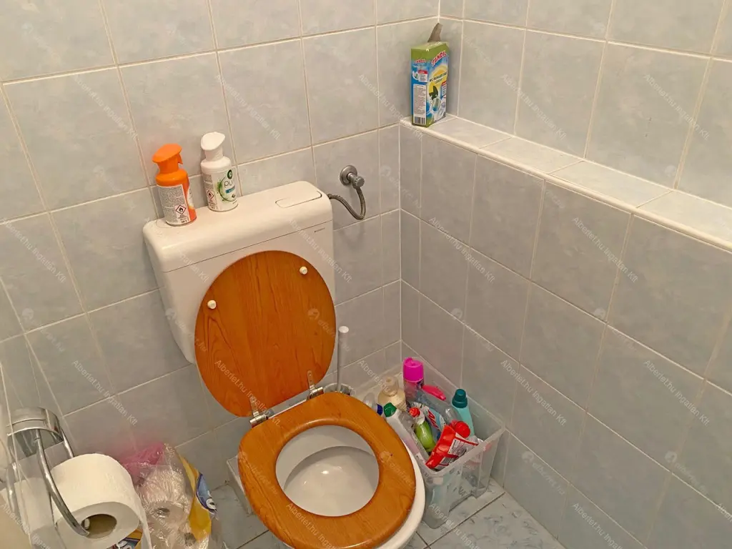 Kiadó albérlet 300000 Ft/hó áron: Budapest, IX. kerület  Gát utca. Mérete: 75 nm, 1 szobás | Alberlet.hu - 6645307