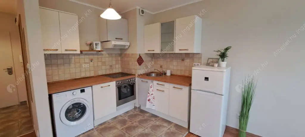 Kiadó albérlet 229000 Ft/hó áron: Budapest, IX. kerület  Haller utca. Mérete: 31 nm, 1 szobás | Alberlet.hu - 6556982