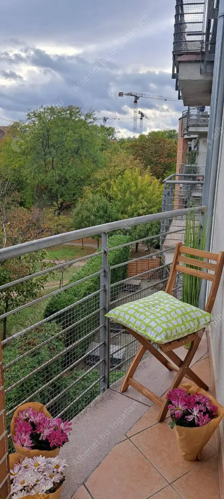 Kiadó albérlet 229000 Ft/hó áron: Budapest, IX. kerület  Haller utca. Mérete: 31 nm, 1 szobás | Alberlet.hu - 6616044