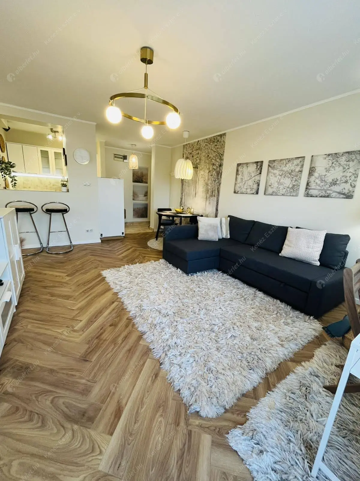 Kiadó albérlet 395000 Ft/hó áron: Budapest, IX. kerület  Haller utca. Mérete: 50 nm, 2 szobás | Alberlet.hu - 6547822