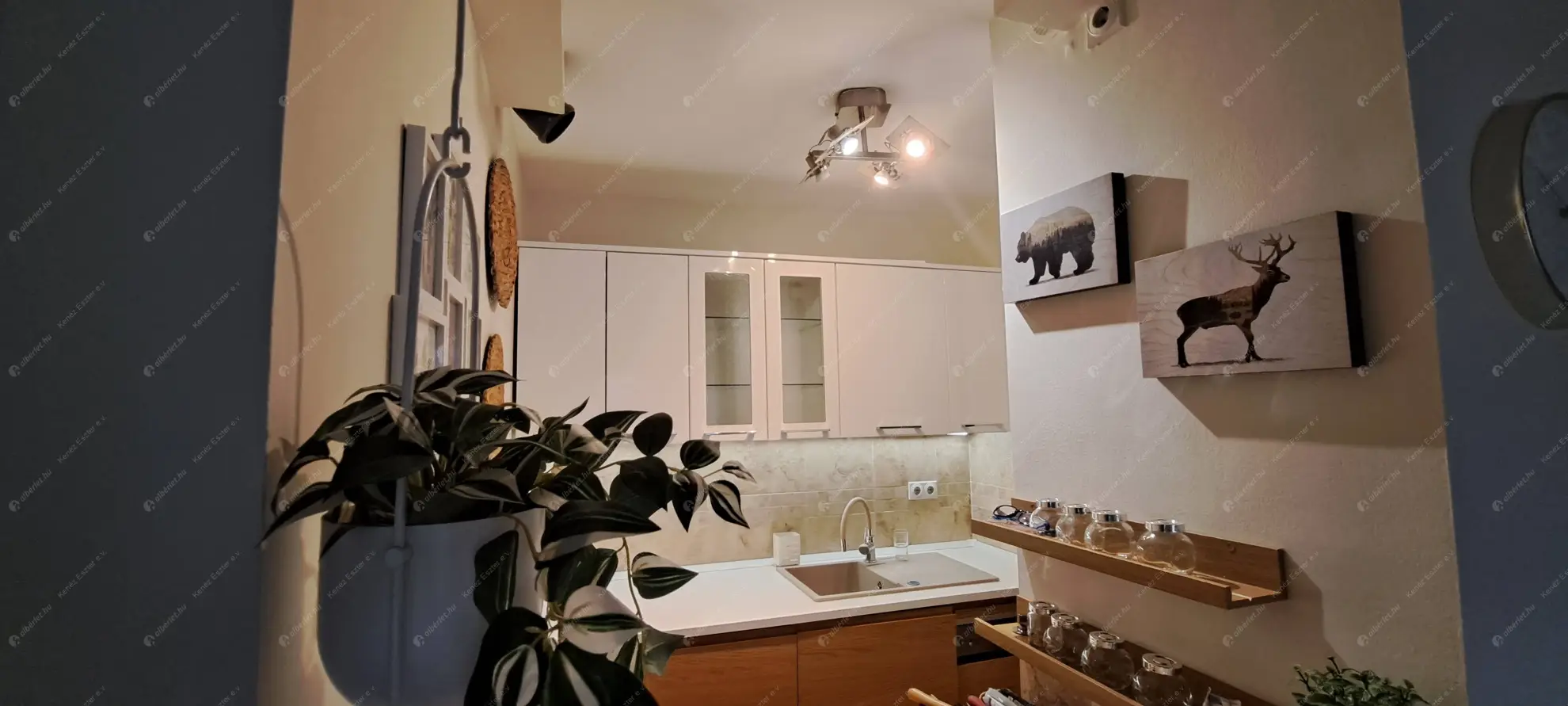 Kiadó albérlet 395000 Ft/hó áron: Budapest, IX. kerület  Haller utca. Mérete: 50 nm, 2 szobás | Alberlet.hu - 6547834