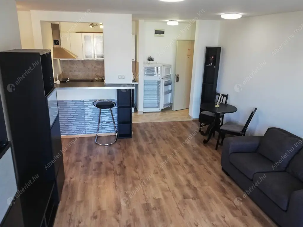 Kiadó albérlet 220000 Ft/hó áron: Budapest, IX. kerület  Haller utca. Mérete: 55 nm, 2 szobás | Alberlet.hu - 6598281