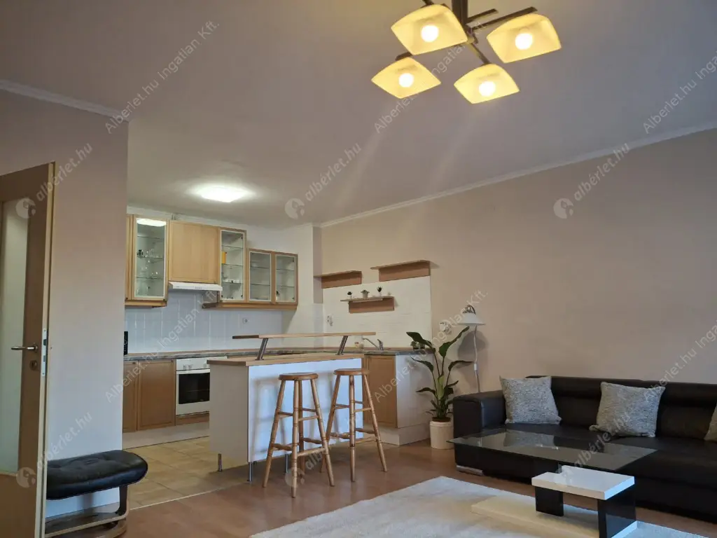 Kiadó albérlet 380000 Ft/hó áron: Budapest, IX. kerület  Kinizsi utca. Mérete: 84 nm, 2 szobás | Alberlet.hu - 6588953