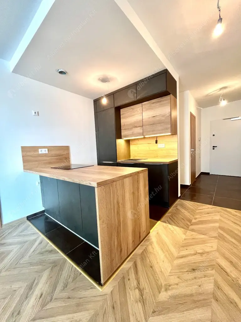 Kiadó albérlet 681000 Ft/hó áron: Budapest, IX. kerület  Lechner Ödön fasor. Mérete: 60 nm, 2 szobás | Alberlet.hu - 6524141