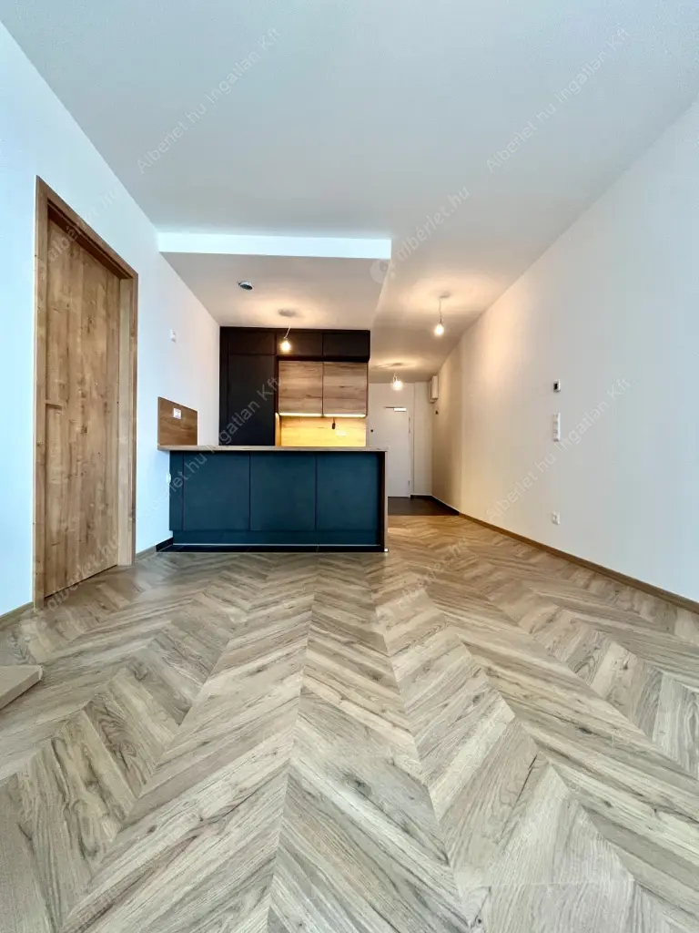 Kiadó albérlet 681000 Ft/hó áron: Budapest, IX. kerület  Lechner Ödön fasor. Mérete: 60 nm, 2 szobás | Alberlet.hu - 6524142