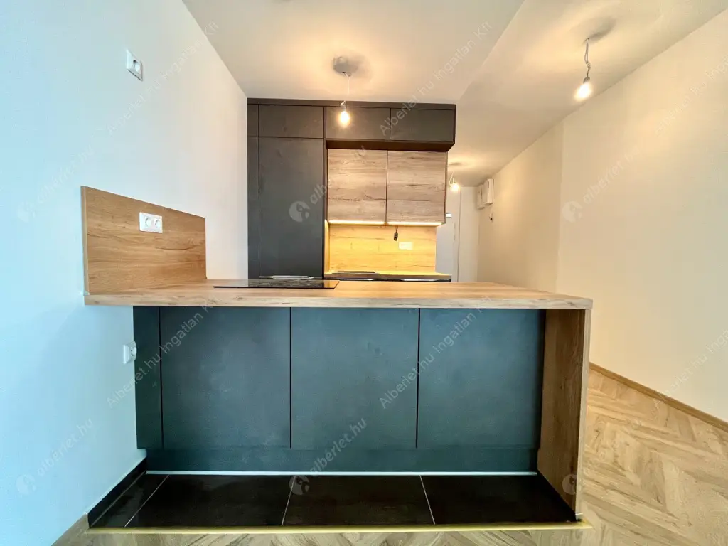 Kiadó albérlet 681000 Ft/hó áron: Budapest, IX. kerület  Lechner Ödön fasor. Mérete: 60 nm, 2 szobás | Alberlet.hu - 6524151