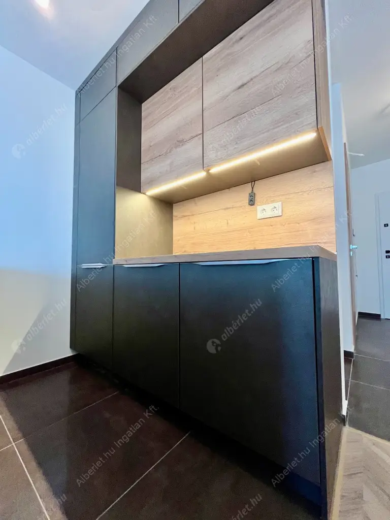 Kiadó albérlet 681000 Ft/hó áron: Budapest, IX. kerület  Lechner Ödön fasor. Mérete: 60 nm, 2 szobás | Alberlet.hu - 6524161