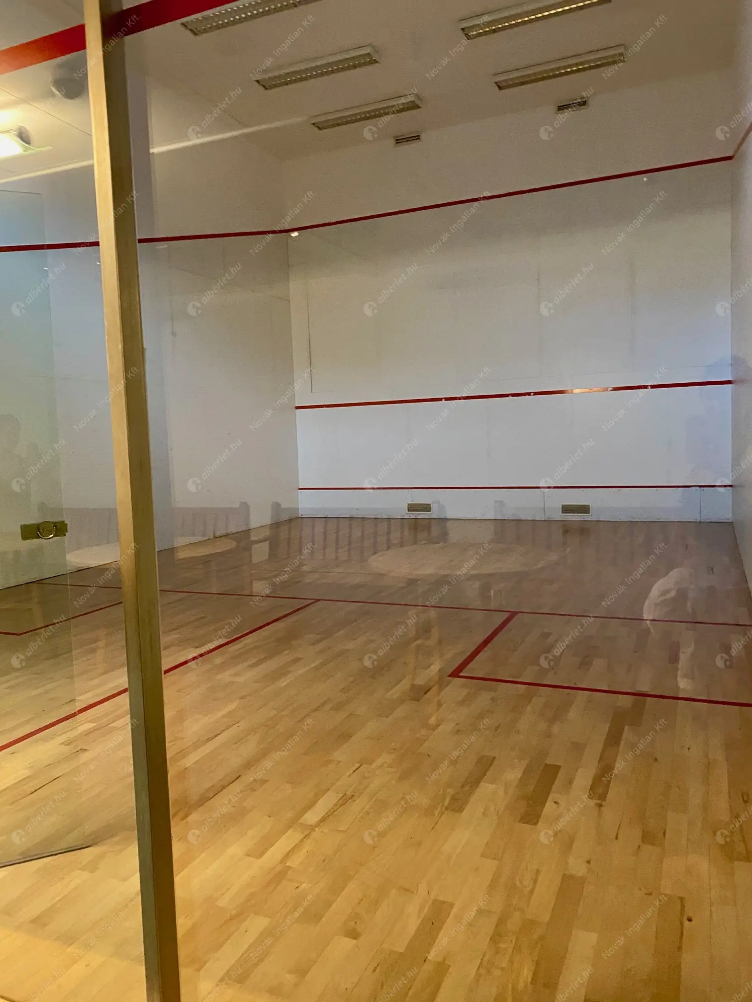 Kiadó albérlet 400000 Ft/hó áron: Budapest, IX. kerület  Lechner Ödön fasor. Mérete: 74 nm, 1 szobás | Alberlet.hu - 6630494