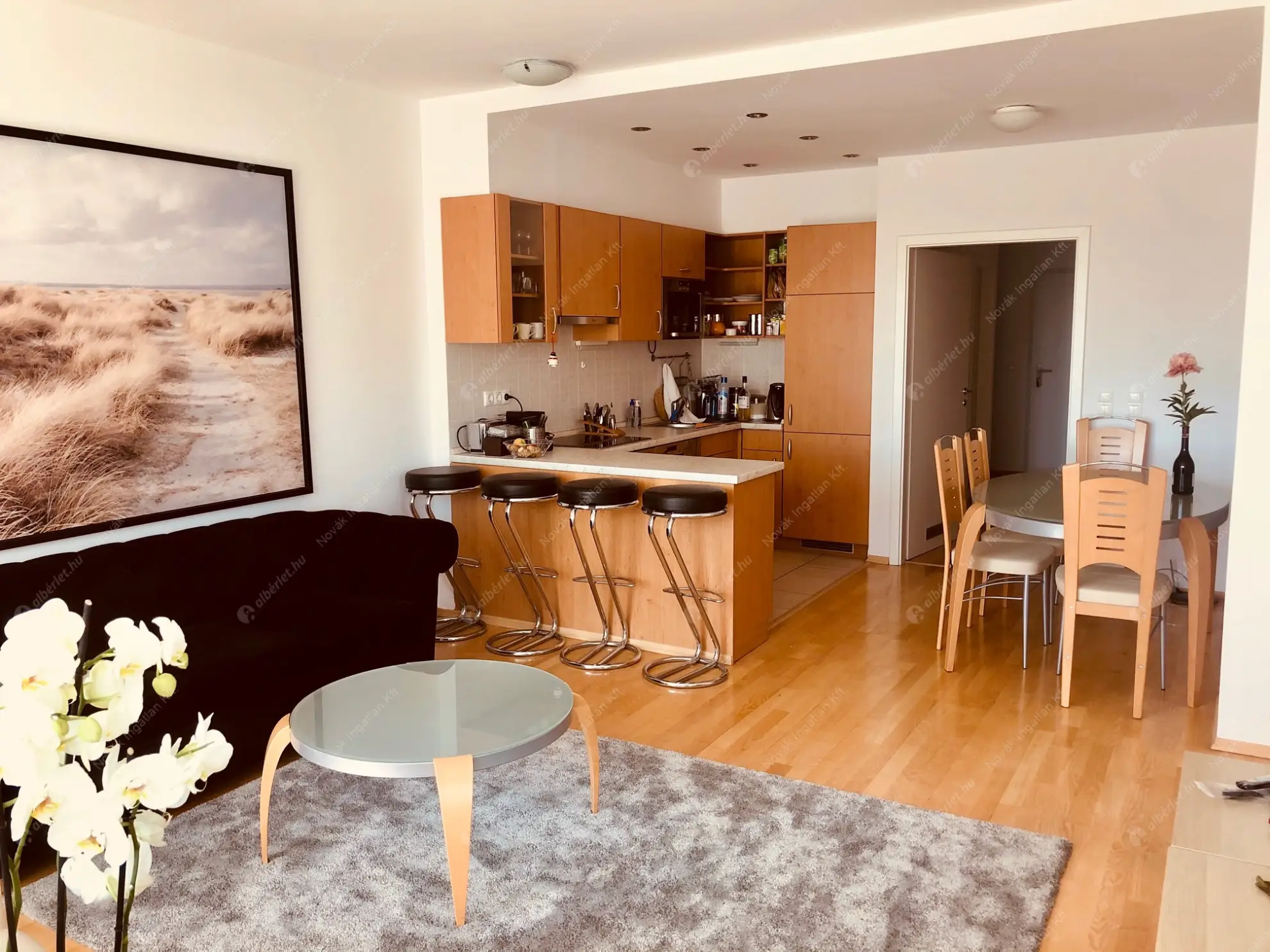 Kiadó albérlet 400000 Ft/hó áron: Budapest, IX. kerület  Lechner Ödön fasor. Mérete: 74 nm, 1 szobás | Alberlet.hu - 6630500