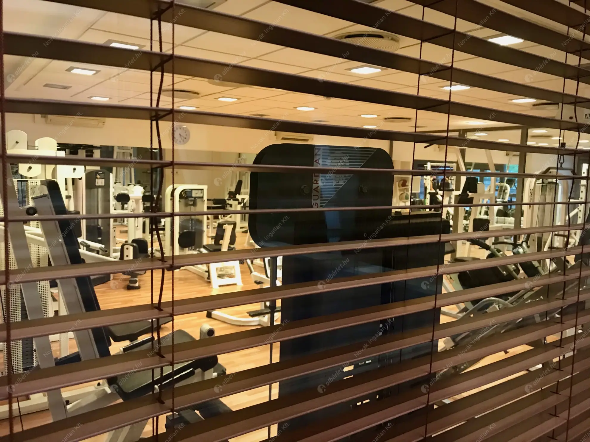 Kiadó albérlet 400000 Ft/hó áron: Budapest, IX. kerület  Lechner Ödön fasor. Mérete: 74 nm, 1 szobás | Alberlet.hu - 6630502