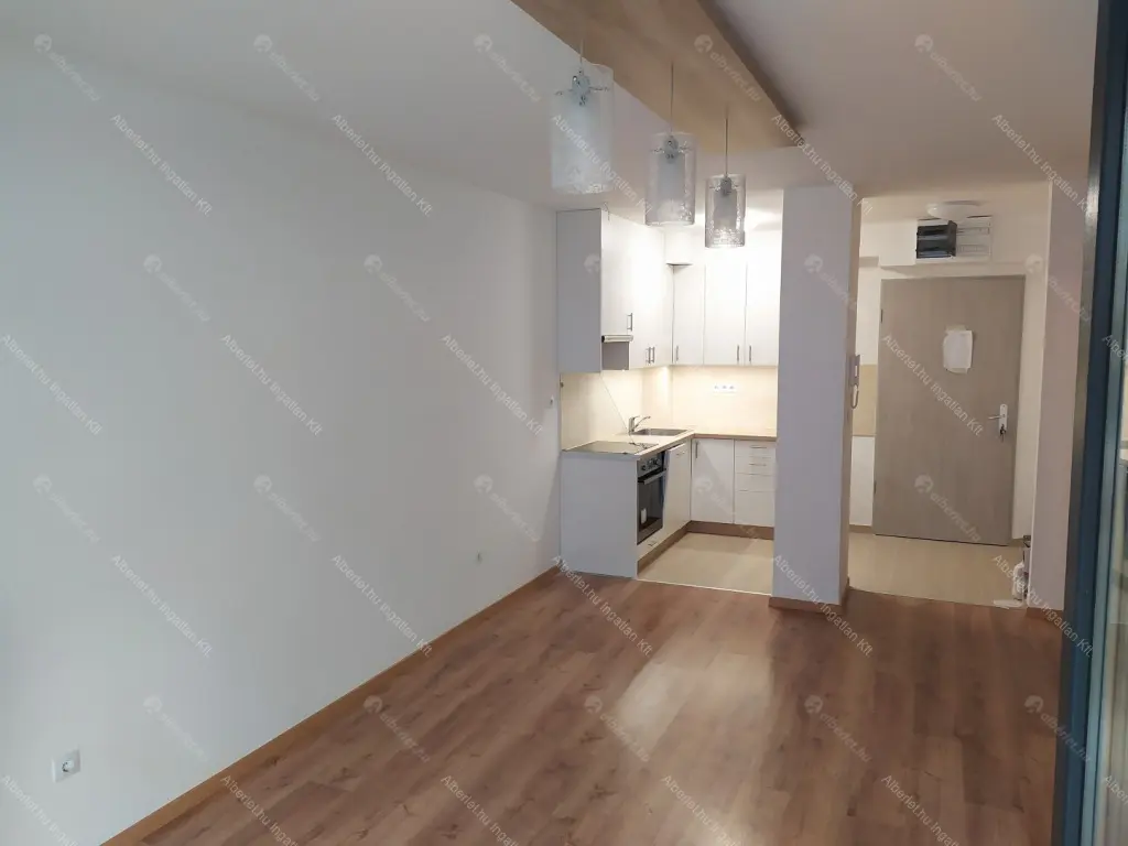 Kiadó albérlet 250000 Ft/hó áron: Budapest, IX. kerület  Lenhossék utca. Mérete: 44 nm, 1 szobás | Alberlet.hu - 6647693