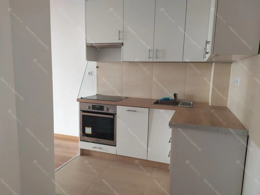 Kiadó albérlet 250000 Ft/hó áron: Budapest, IX. kerület  Lenhossék utca. Mérete: 44 nm, 1 szobás | Alberlet.hu - 6647697