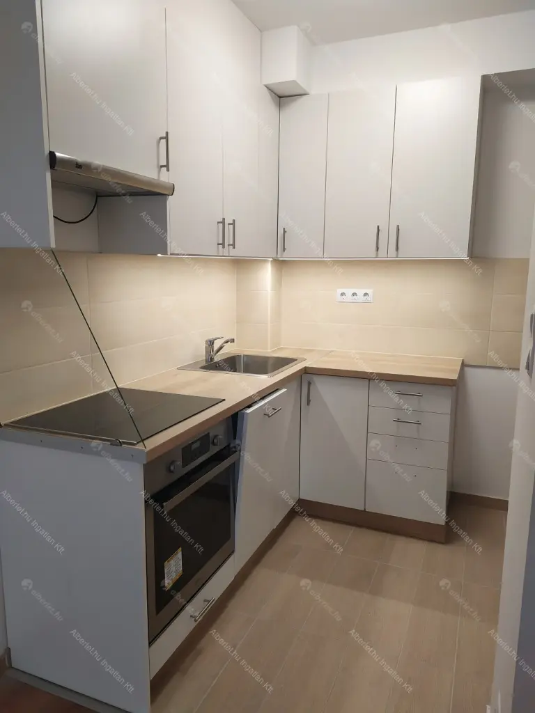 Kiadó albérlet 250000 Ft/hó áron: Budapest, IX. kerület  Lenhossék utca. Mérete: 44 nm, 1 szobás | Alberlet.hu - 6647698