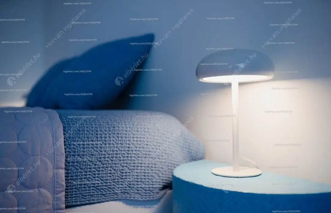 Kiadó albérlet 345000 Ft/hó áron: Budapest, IX. kerület  Lónyay utca. Mérete: 55 nm, 2 szobás | Alberlet.hu - 6609505