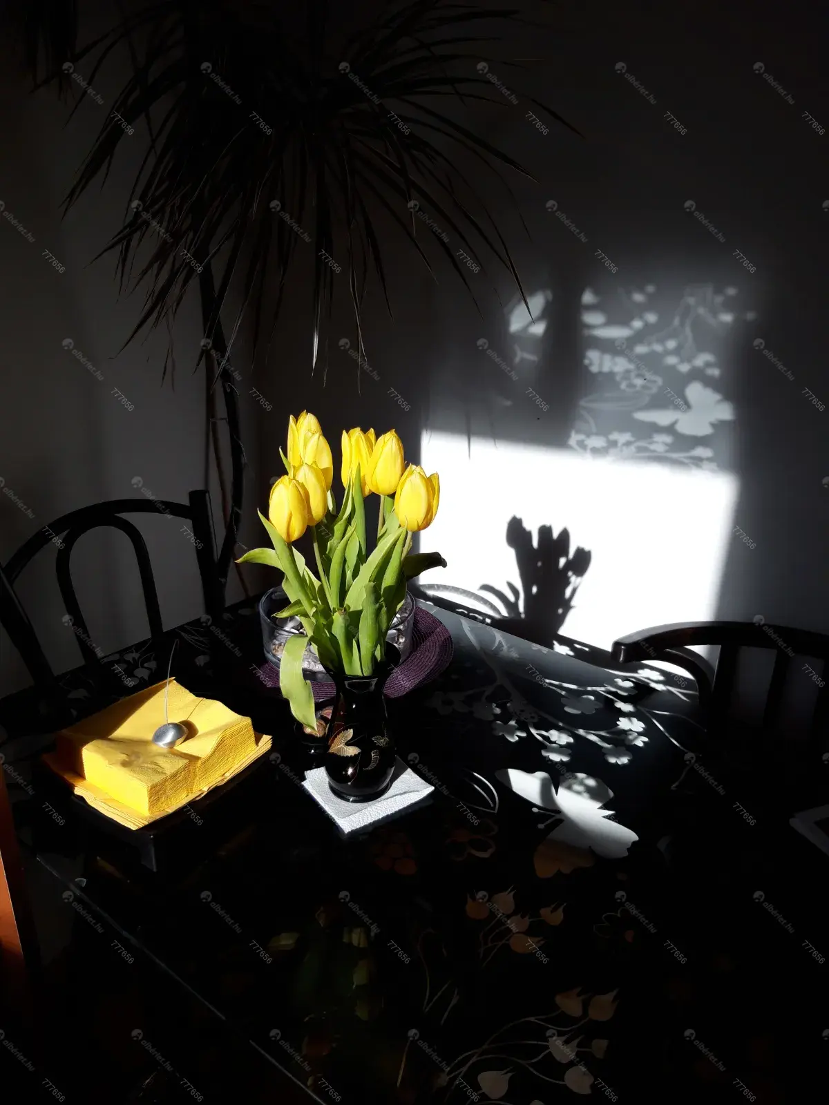 Kiadó albérlet 230000 Ft/hó áron: Budapest, IX. kerület  Márton utca. Mérete: 43 nm, 1 szobás | Alberlet.hu - 6707546