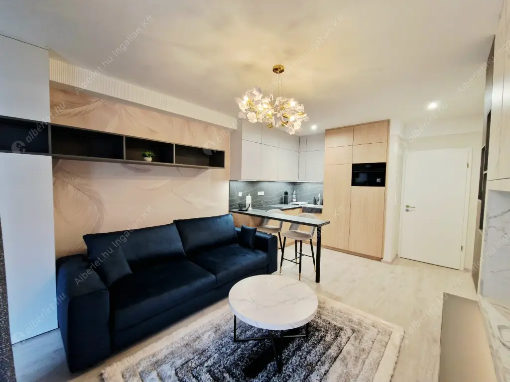 Kiadó albérlet 250000 Ft/hó áron: Budapest, IX. kerület  Mester utca. Mérete: 30 nm, 1 szobás | Alberlet.hu - 6593010