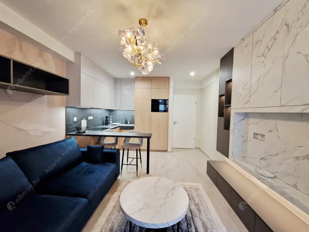 Kiadó albérlet 250000 Ft/hó áron: Budapest, IX. kerület  Mester utca. Mérete: 30 nm, 1 szobás | Alberlet.hu - 6593011