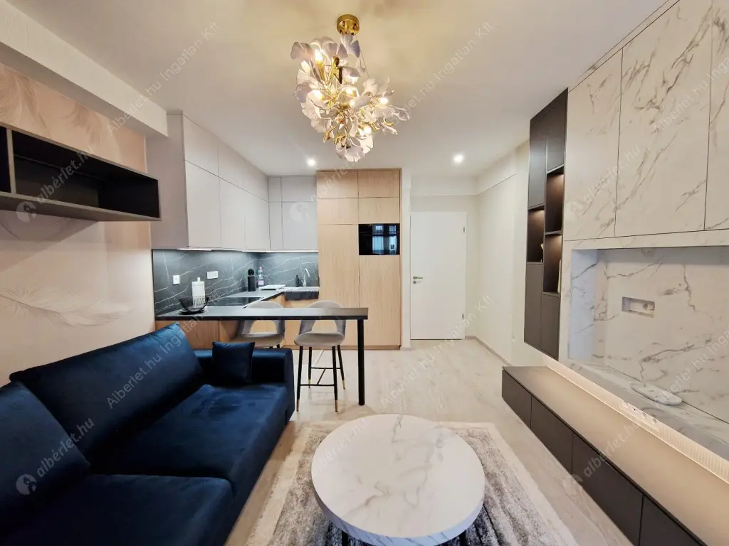 Kiadó albérlet 250000 Ft/hó áron: Budapest, IX. kerület  Mester utca. Mérete: 30 nm, 1 szobás | Alberlet.hu - 6593013