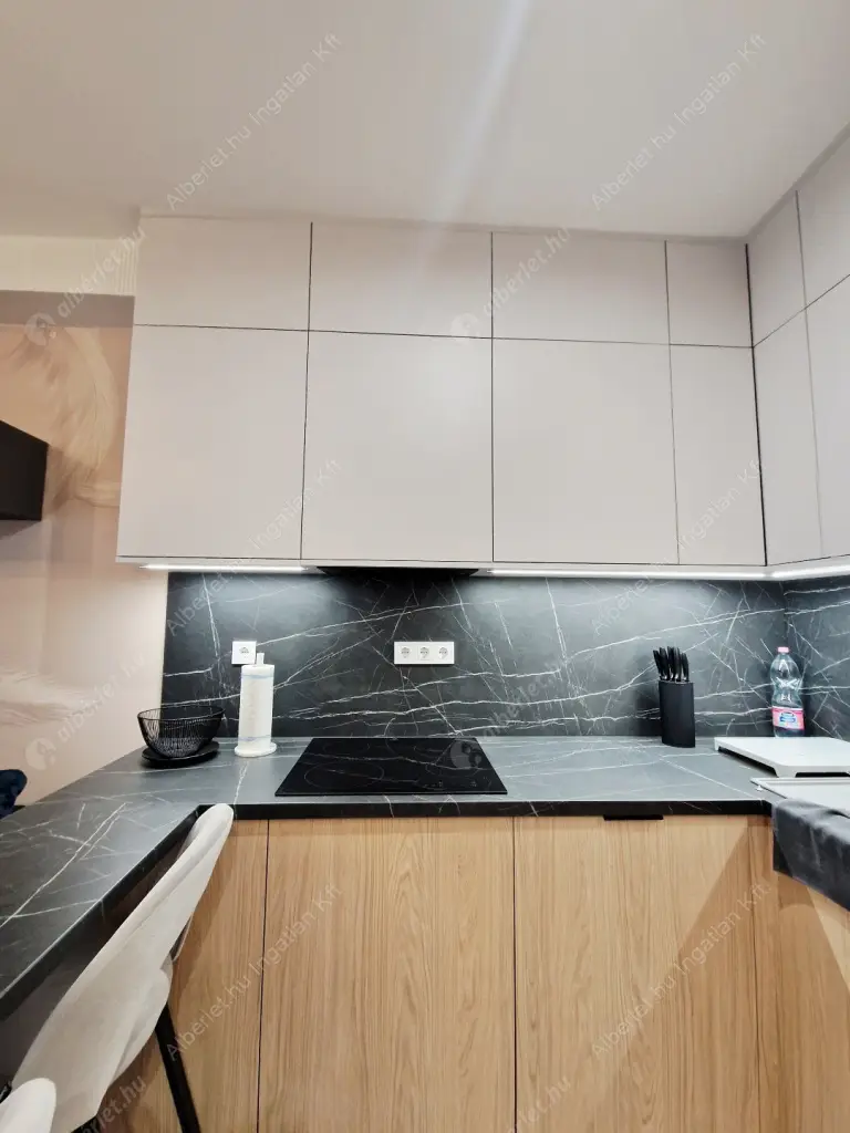 Kiadó albérlet 250000 Ft/hó áron: Budapest, IX. kerület  Mester utca. Mérete: 30 nm, 1 szobás | Alberlet.hu - 6593020