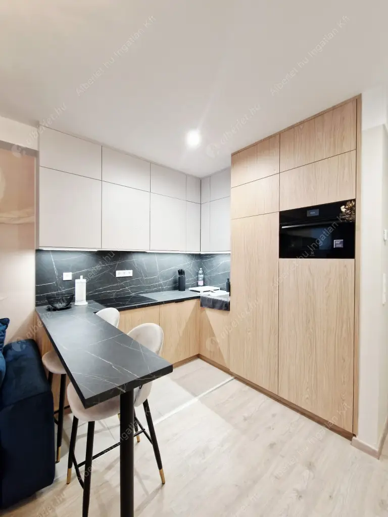 Kiadó albérlet 250000 Ft/hó áron: Budapest, IX. kerület  Mester utca. Mérete: 30 nm, 1 szobás | Alberlet.hu - 6593022