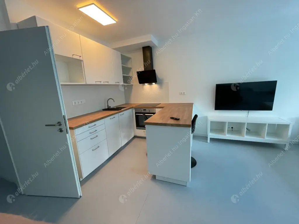 Kiadó albérlet 260000 Ft/hó áron: Budapest, IX. kerület  Mester utca. Mérete: 36 nm, 1 szobás | Alberlet.hu - 6523508