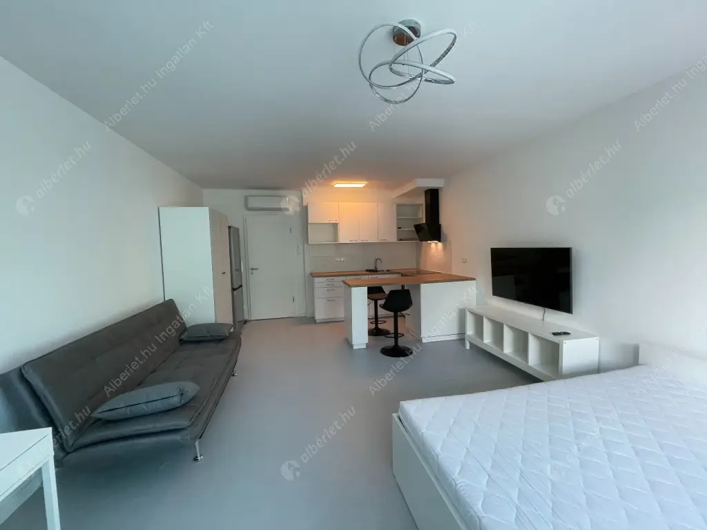 Kiadó albérlet 260000 Ft/hó áron: Budapest, IX. kerület  Mester utca. Mérete: 36 nm, 1 szobás | Alberlet.hu - 6523509