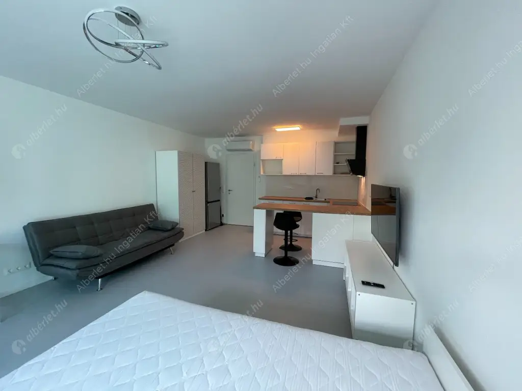 Kiadó albérlet 260000 Ft/hó áron: Budapest, IX. kerület  Mester utca. Mérete: 36 nm, 1 szobás | Alberlet.hu - 6523512