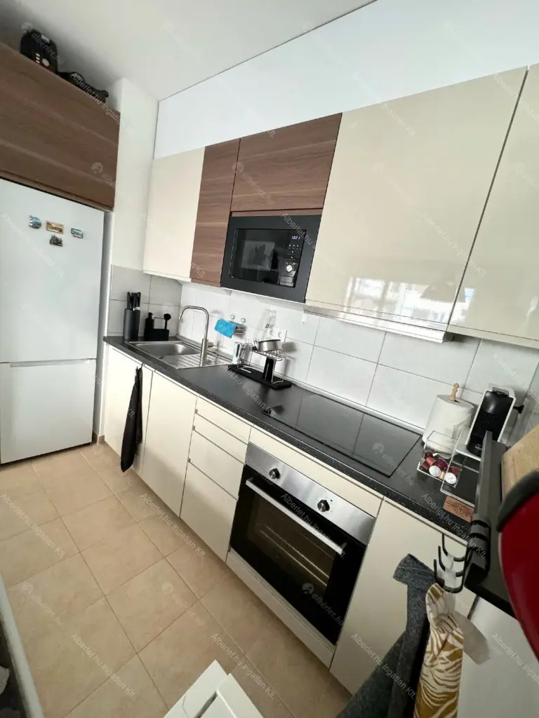 Kiadó albérlet 310000 Ft/hó áron: Budapest, IX. kerület  mester utca. Mérete: 36 nm, 1 szobás | Alberlet.hu - 6668586