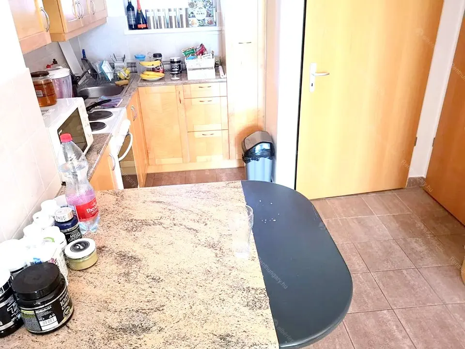 Kiadó albérlet 250000 Ft/hó áron: Budapest, IX. kerület  Mester utca. Mérete: 38 nm, 1 szobás | Alberlet.hu - 5847800