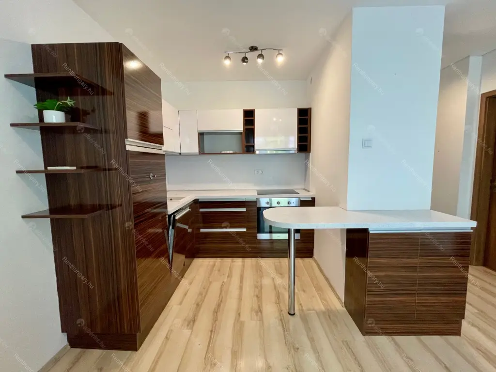 Kiadó albérlet 265000 Ft/hó áron: Budapest, IX. kerület  Nádasdy utca. Mérete: 44 nm, 1 szobás | Alberlet.hu - 5769053