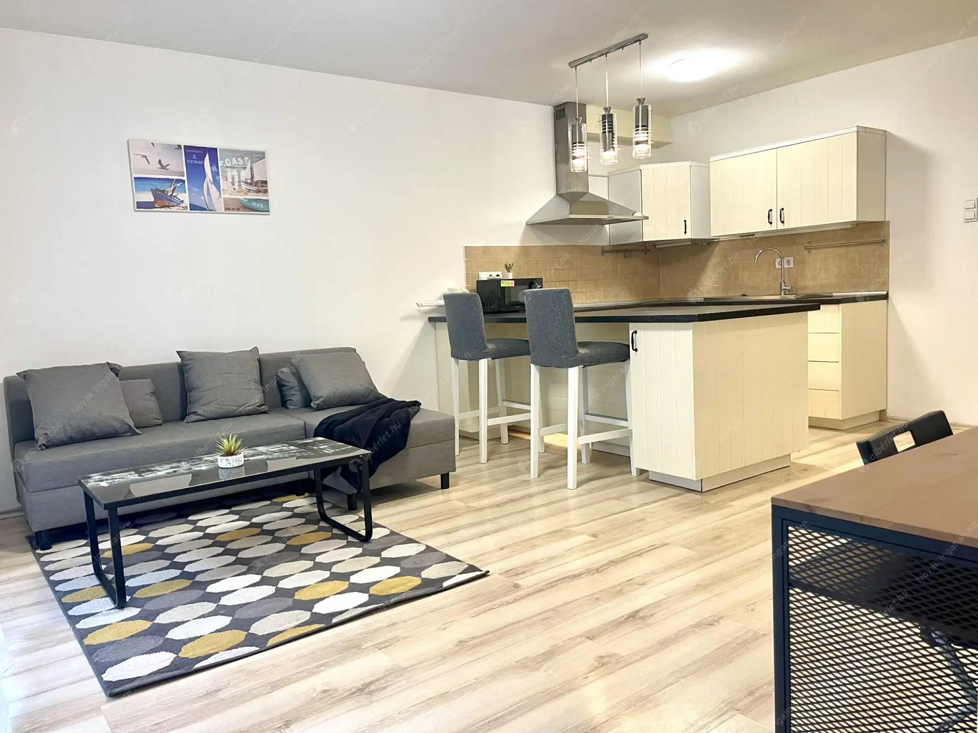 Kiadó albérlet 295000 Ft/hó áron: Budapest, IX. kerület  Nádasdy utca. Mérete: 47 nm, 1 szobás | Alberlet.hu - 6598608