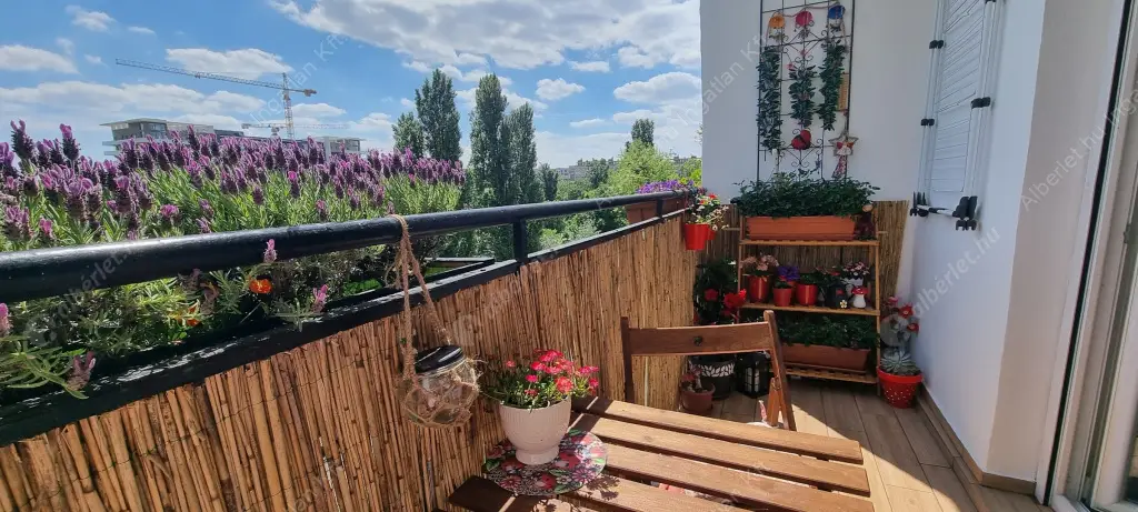 Kiadó albérlet 250000 Ft/hó áron: Budapest, IX. kerület  Óbester utca. Mérete: 53 nm, 2 szobás | Alberlet.hu - 6624099