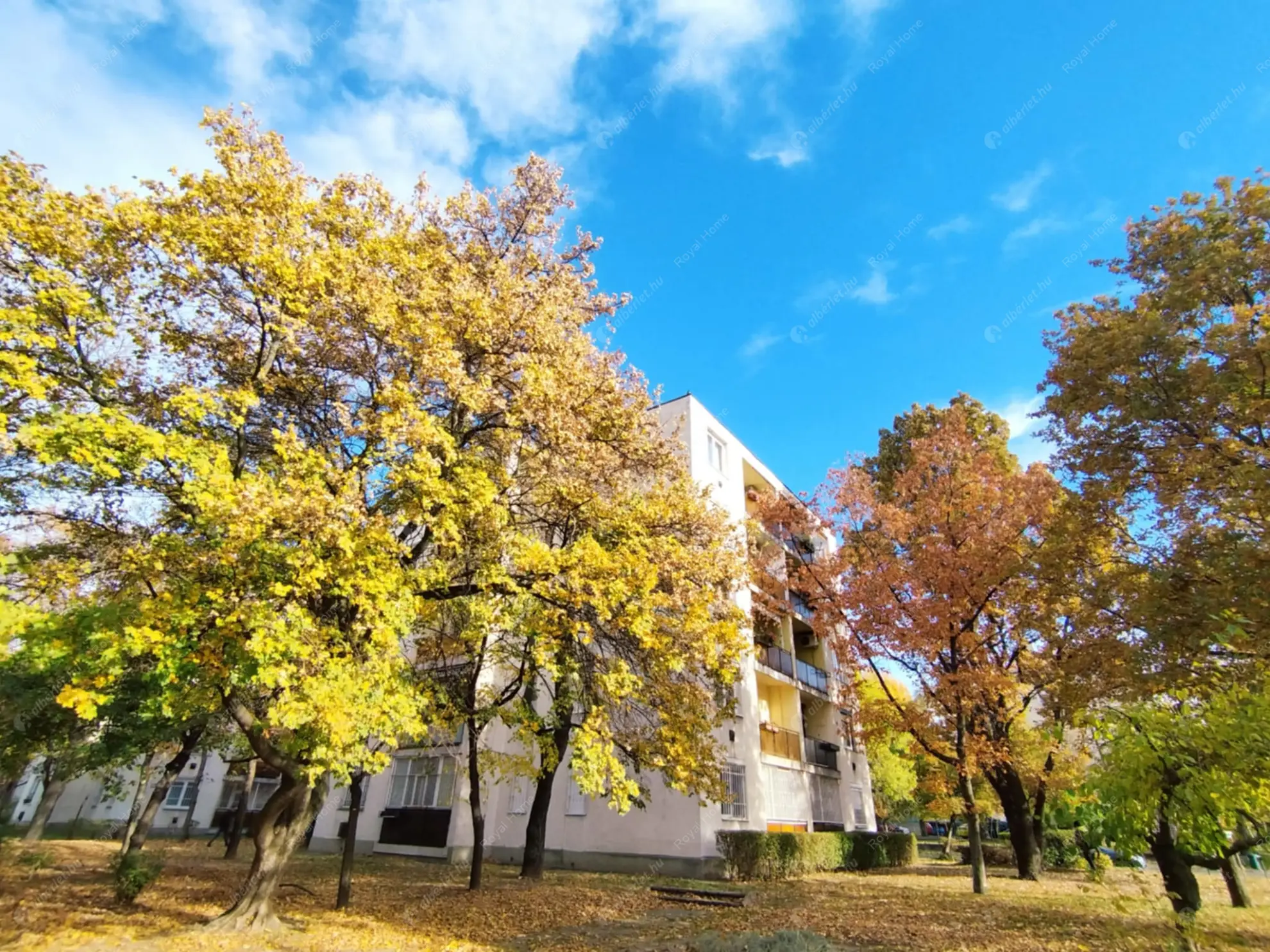 Kiadó albérlet 249000 Ft/hó áron: Budapest, IX. kerület  Óbester utca. Mérete: 55 nm, 2 szobás | Alberlet.hu - 6570172