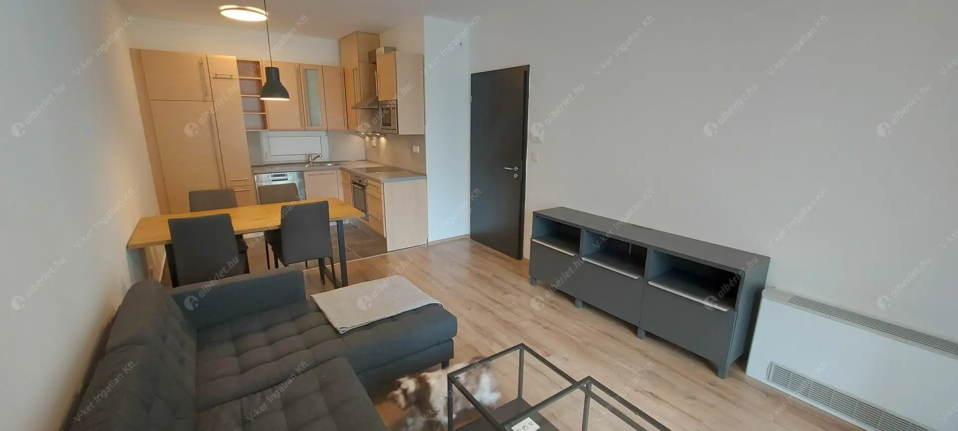 Kiadó albérlet 280000 Ft/hó áron: Budapest, IX. kerület  Pápay István utca. Mérete: 45 nm, 2 szobás | Alberlet.hu - 6231801