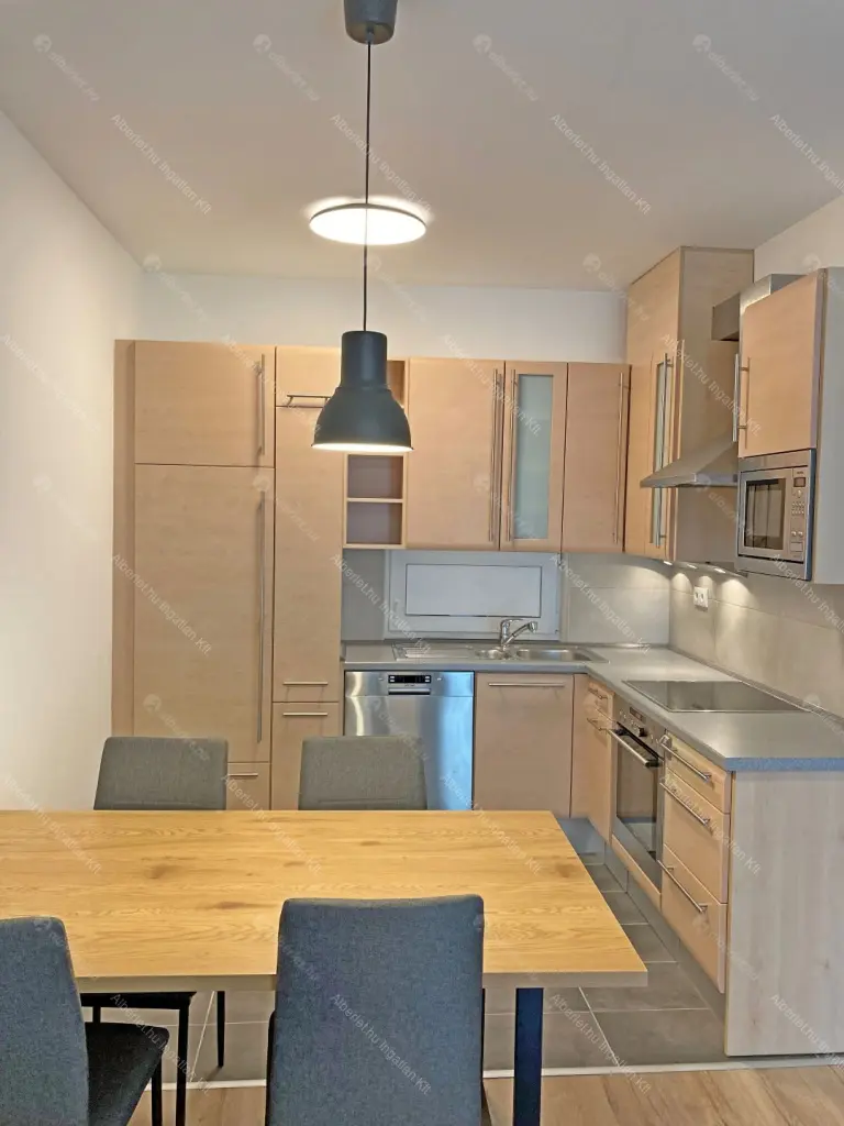 Kiadó albérlet 280000 Ft/hó áron: Budapest, IX. kerület  Pápay István utca. Mérete: 45 nm, 2 szobás | Alberlet.hu - 6698997