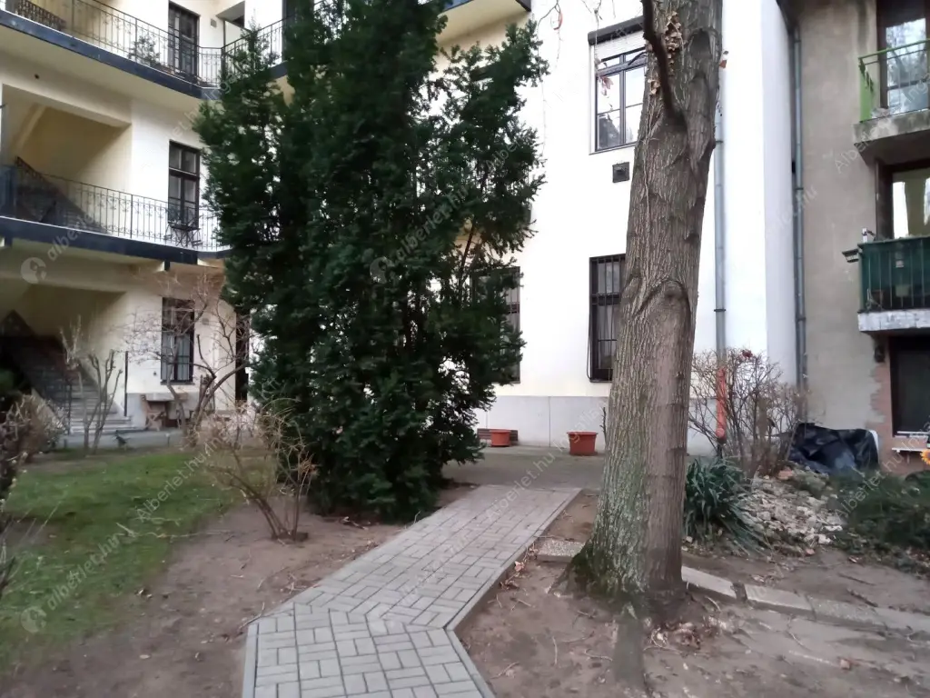 Kiadó albérlet 260000 Ft/hó áron: Budapest, IX. kerület  Páva utca. Mérete: 60 nm, 2 szobás | Alberlet.hu - 6633883