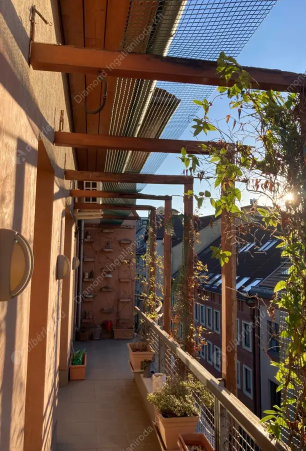 Kiadó albérlet 350000 Ft/hó áron: Budapest, IX. kerület  Páva utca. Mérete: 74 nm, 1 szobás | Alberlet.hu - 6598316