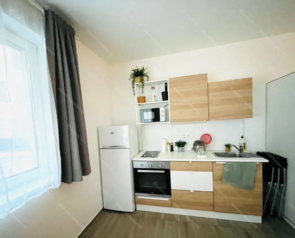 Kiadó albérlet 245000 Ft/hó áron: Budapest, IX. kerület  Ráday  utca . Mérete: 41 nm, 1 szobás | Alberlet.hu - 6645643