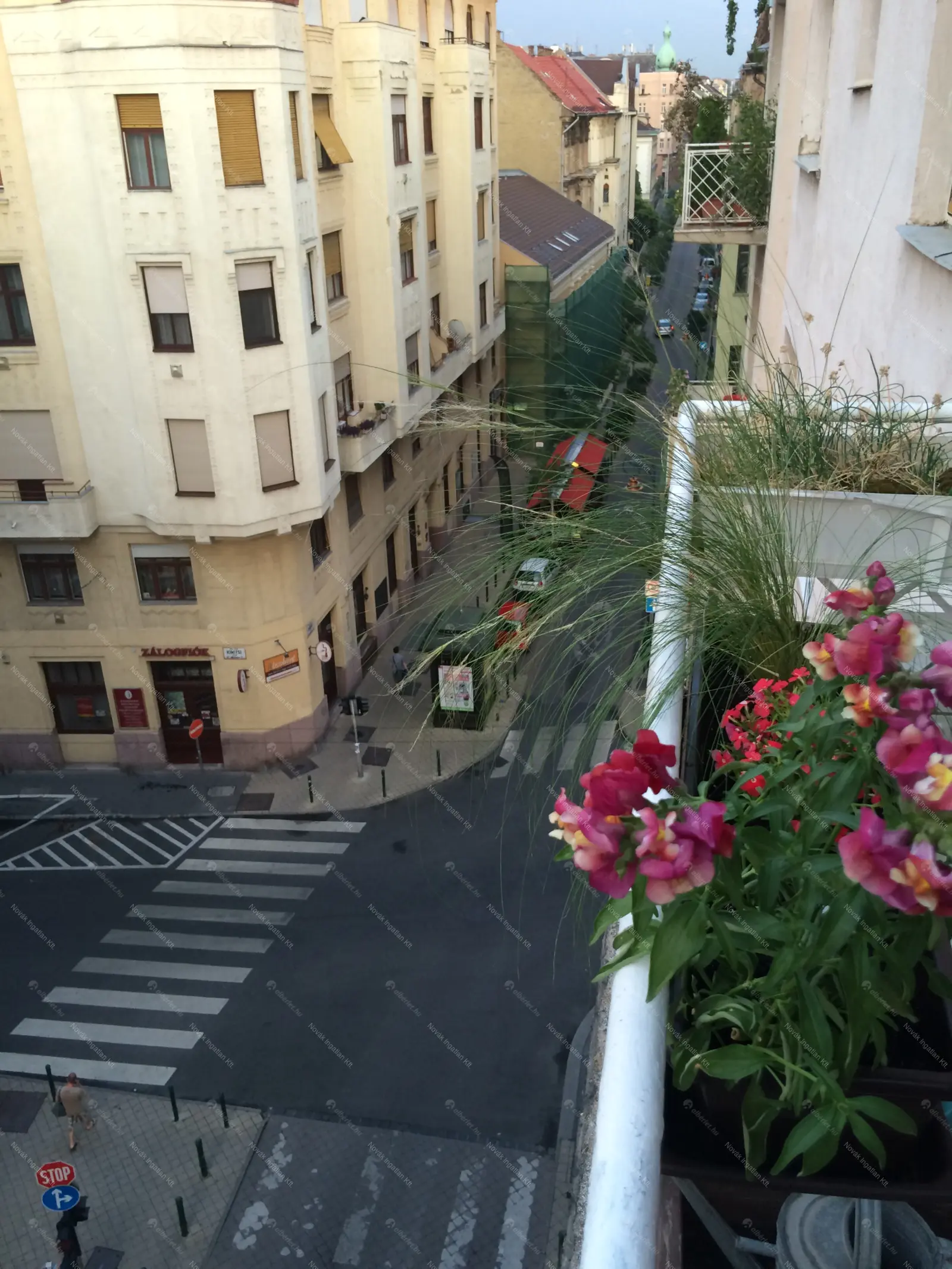 Kiadó albérlet 400000 Ft/hó áron: Budapest, IX. kerület  Ráday utca. Mérete: 77 nm, 3 szobás | Alberlet.hu - 6653906