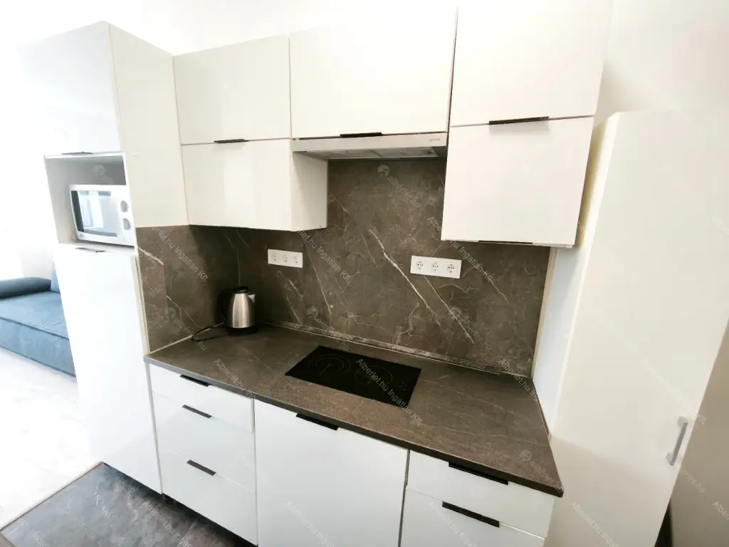 Kiadó albérlet 190000 Ft/hó áron: Budapest, IX. kerület  Telepy utca. Mérete: 24 nm, 1 szobás | Alberlet.hu - 6677503