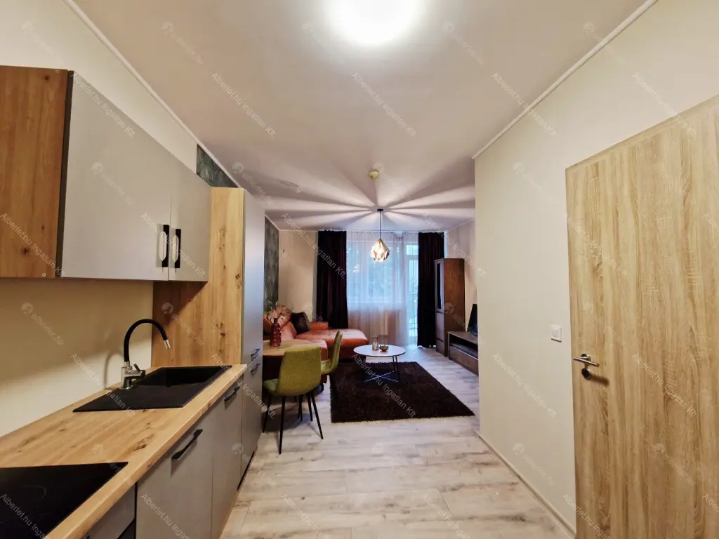 Kiadó albérlet 200000 Ft/hó áron: Budapest, IX. kerület  Telepy utca. Mérete: 28 nm, 1 szobás | Alberlet.hu - 6649906